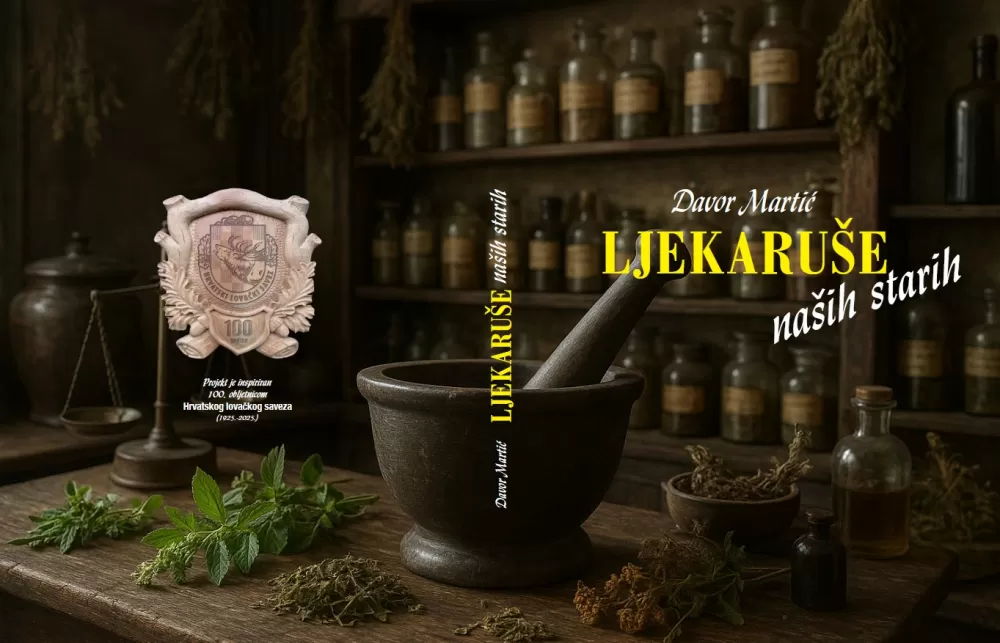 Požega.eu | Lijekovi od divljači i biljaka kako su to radili naši stari - poznaju ih i Slavonci