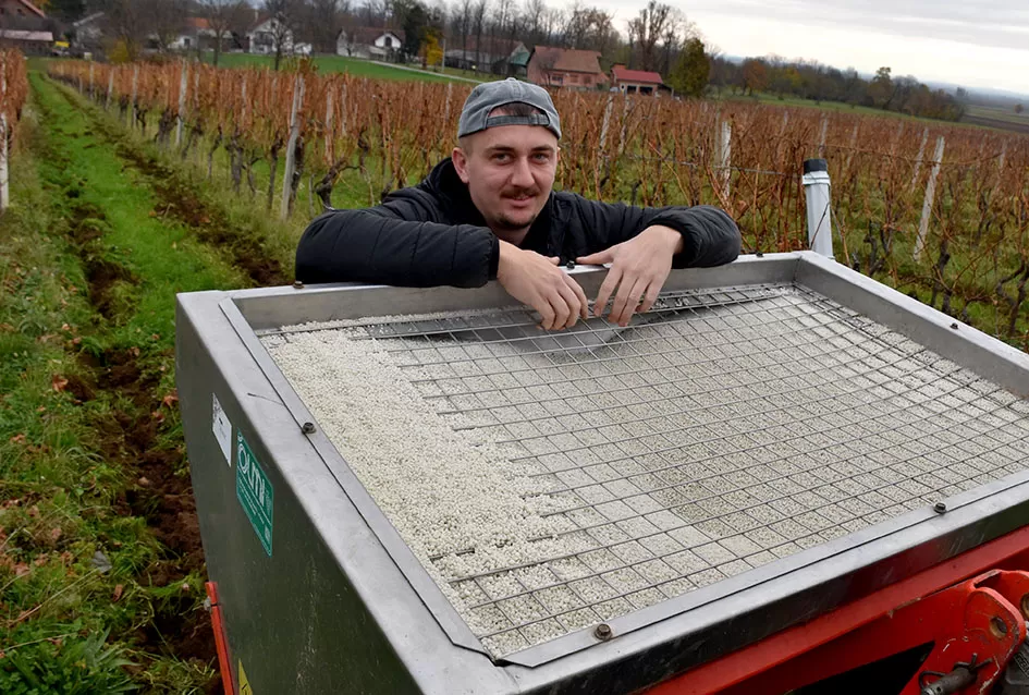 Požega.eu | Obiteljska tradicija i suvremeni pristup: Marko Tomić, mladi vinogradar iz Biškupaca, gradi svoju vinsku priču na temeljima oca Ivice