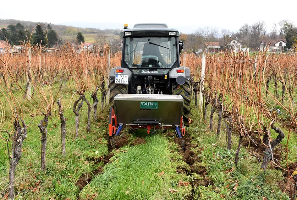 Obiteljska tradicija i suvremeni pristup: Marko Tomić, mladi vinogradar iz Biškupaca, gradi svoju vinsku priču na temeljima oca Ivice