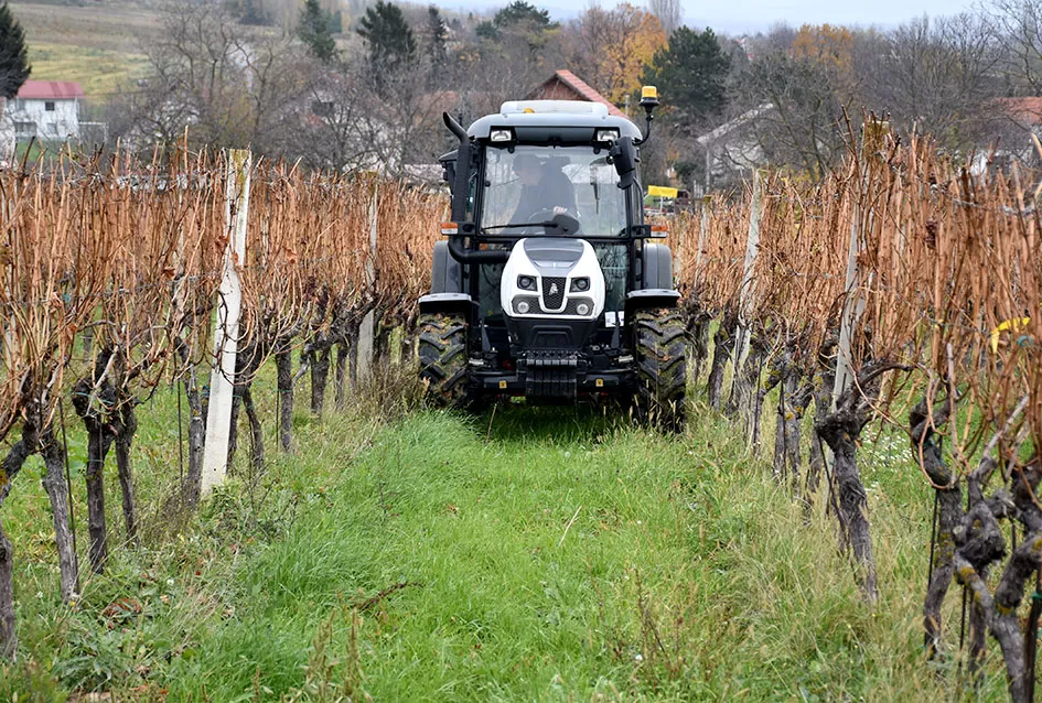 Obiteljska tradicija i suvremeni pristup: Marko Tomić, mladi vinogradar iz Biškupaca, gradi svoju vinsku priču na temeljima oca Ivice