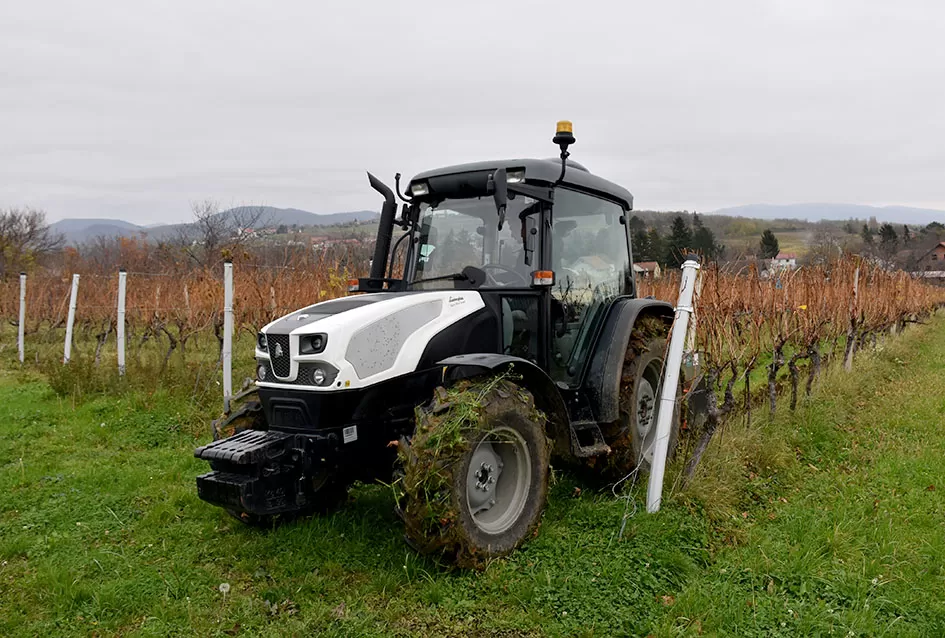 Obiteljska tradicija i suvremeni pristup: Marko Tomić, mladi vinogradar iz Biškupaca, gradi svoju vinsku priču na temeljima oca Ivice