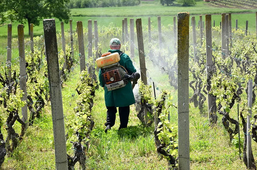 Obiteljska tradicija i suvremeni pristup: Marko Tomić, mladi vinogradar iz Biškupaca, gradi svoju vinsku priču na temeljima oca Ivice