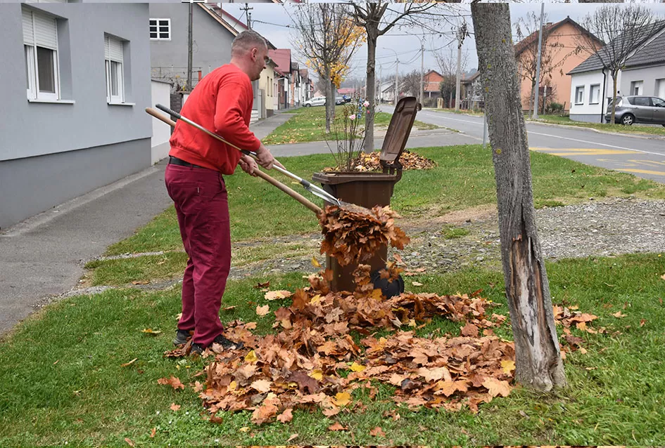 Požega.eu | Od idile kasne jeseni do akcije čišćenja: Franjo uzeo grablje u ruke [FOTO]