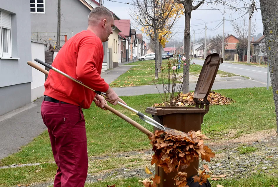 Od idile kasne jeseni do akcije čišćenja: Franjo uzeo grablje u ruke [FOTO]