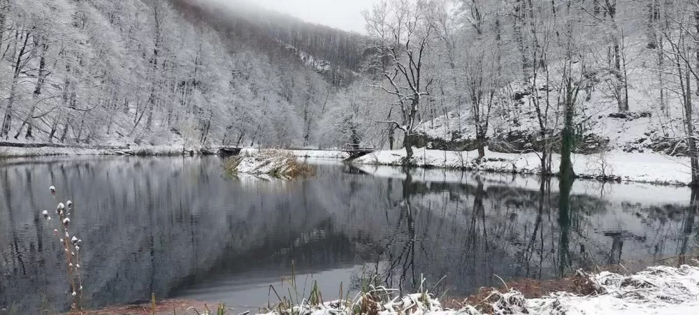 Snježna čarolija Papuka: Vikend u bajkovitom Jankovcu