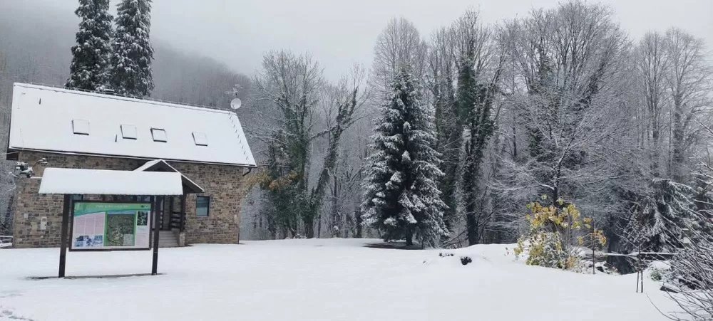 Snježna čarolija Papuka: Vikend u bajkovitom Jankovcu