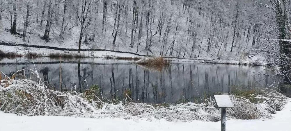 Snježna čarolija Papuka: Vikend u bajkovitom Jankovcu