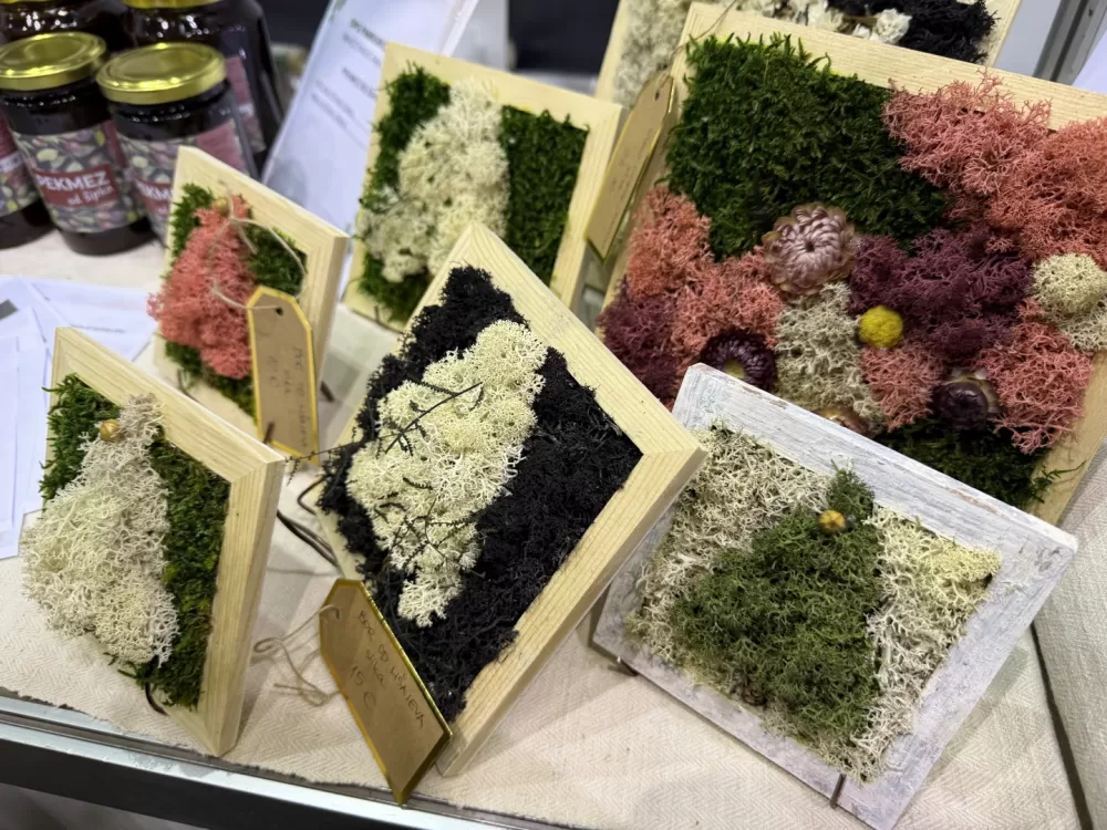 [FOTO] Otvoren 28. Katarinski sajam na Vijušu – Slavonski Brod ponovo središte obrtništva i tradicije