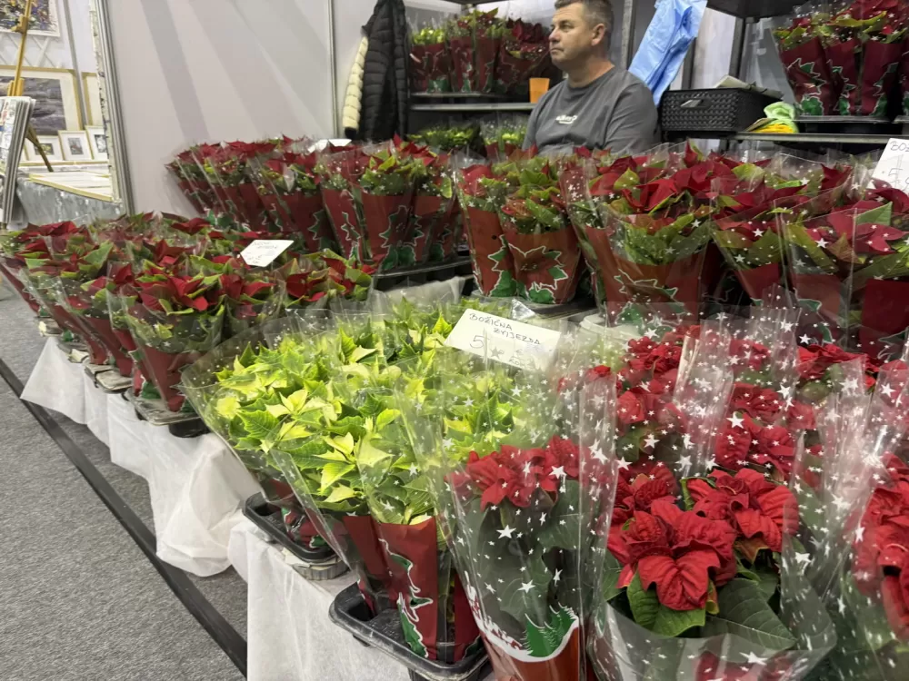 [FOTO] Otvoren 28. Katarinski sajam na Vijušu – Slavonski Brod ponovo središte obrtništva i tradicije