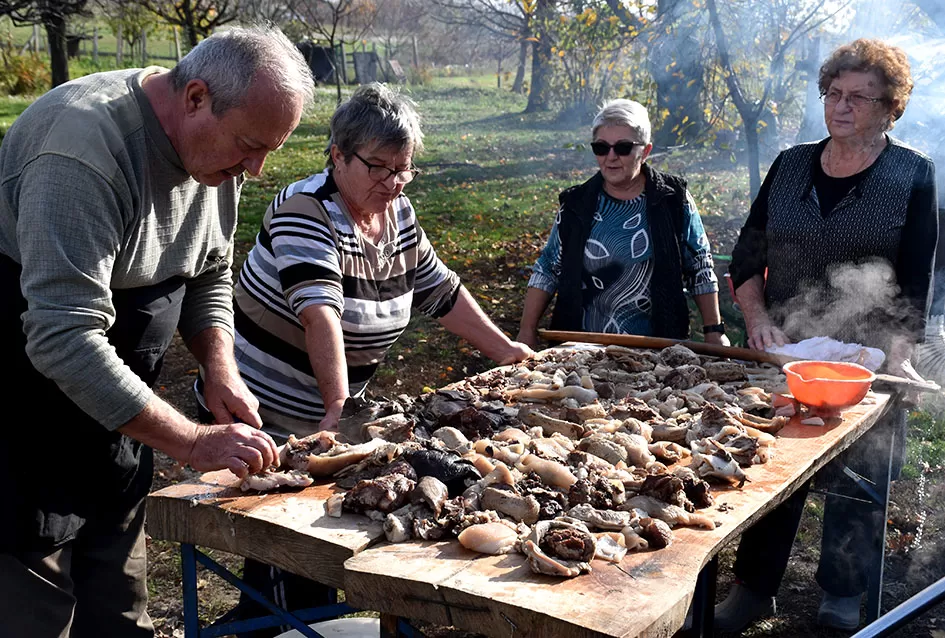 Solidarnost i prijateljstvo izvan pozornice: Veterani KUD-a ʼIvan Goran Kovačićʼ iz Velike i dalje povezani