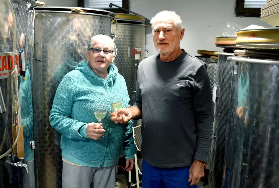 Požega.eu | Vino s dušom Papuka: Obitelj Ostojić i njihova priča o graševini, rizlingu i merlotu