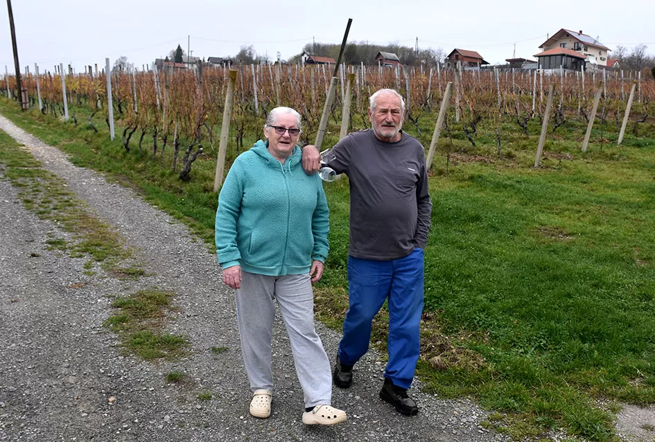 Vino s dušom Papuka: Obitelj Ostojić i njihova priča o graševini, rizlingu i merlotu
