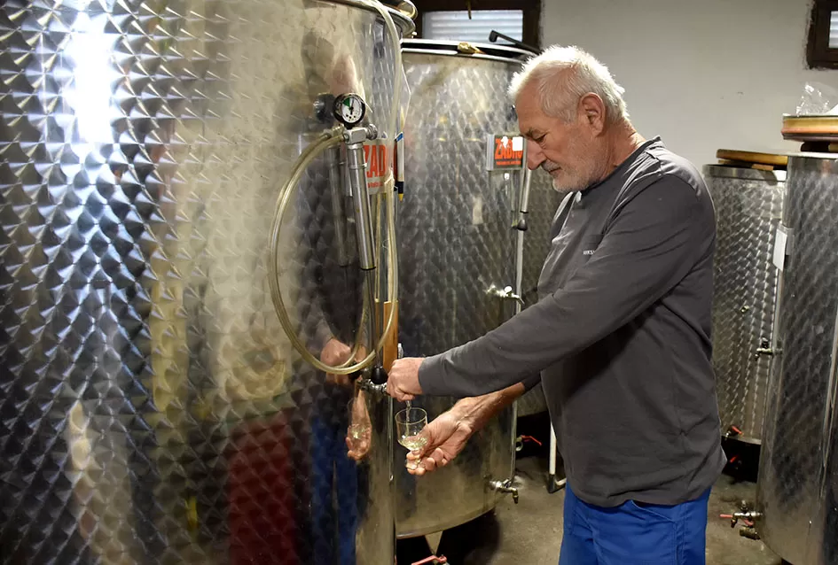 Vino s dušom Papuka: Obitelj Ostojić i njihova priča o graševini, rizlingu i merlotu