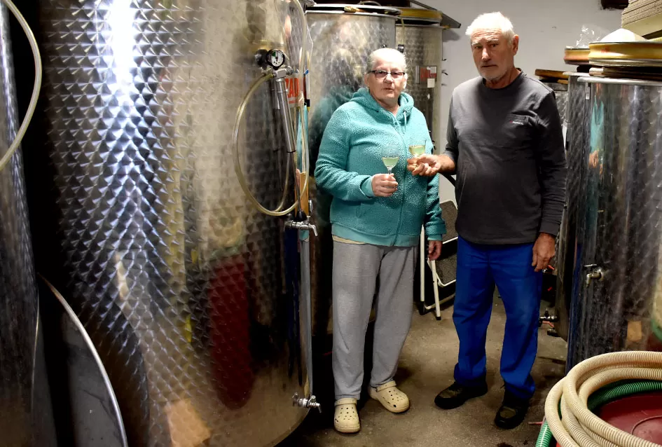 Vino s dušom Papuka: Obitelj Ostojić i njihova priča o graševini, rizlingu i merlotu