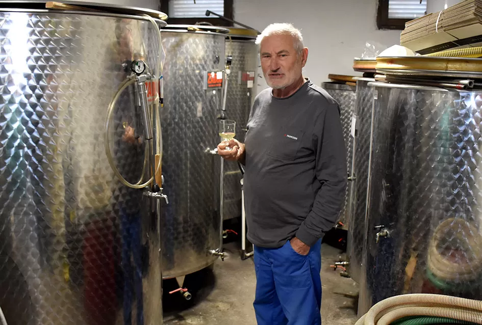 Vino s dušom Papuka: Obitelj Ostojić i njihova priča o graševini, rizlingu i merlotu