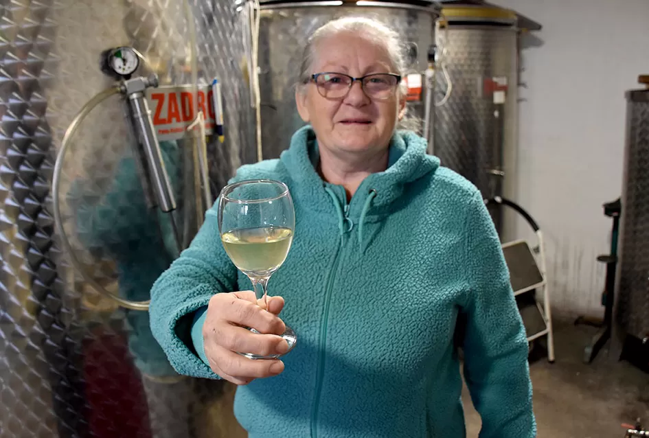 Vino s dušom Papuka: Obitelj Ostojić i njihova priča o graševini, rizlingu i merlotu