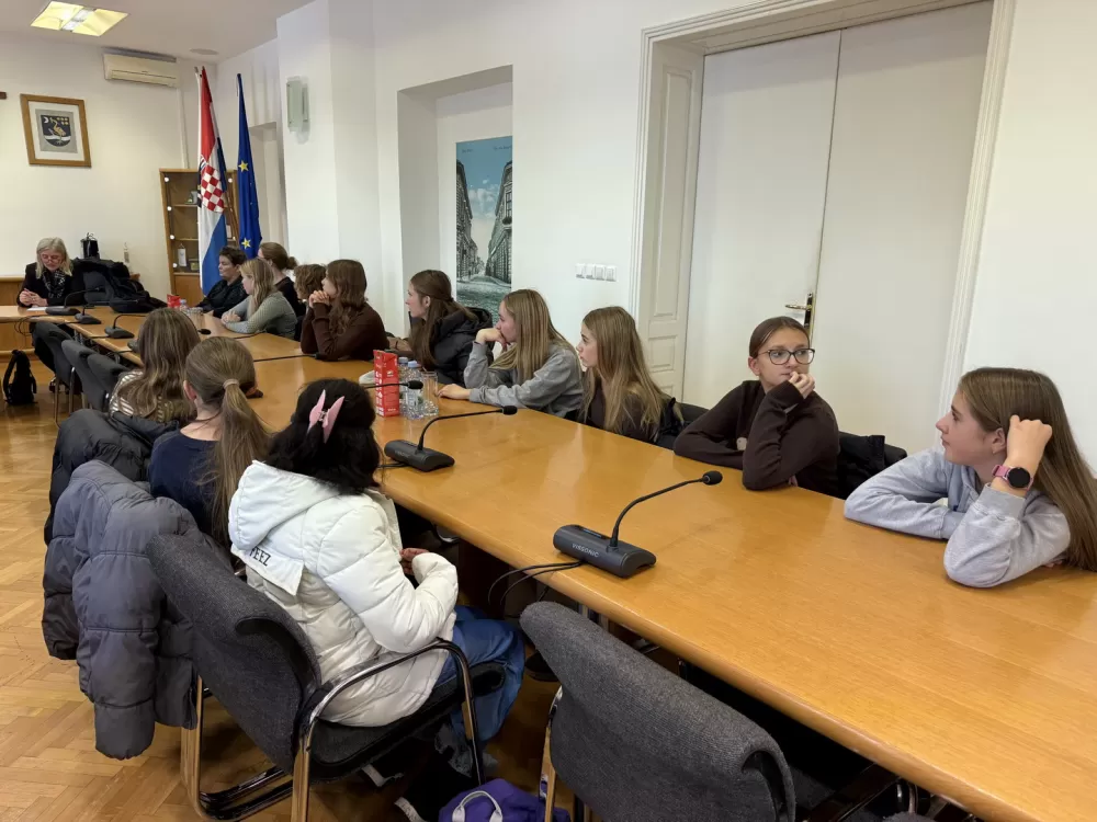 Učenici iz Danske gostovali u Gradskoj upravi Slavonskog Broda