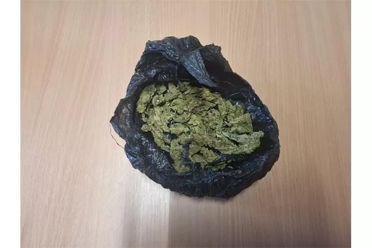 Policija razbila ilegalnu prodaju marihuane na području Pleternice – 24-godišnjak prijavljen