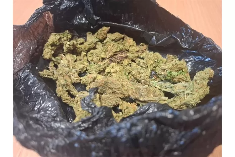 Policija razbila ilegalnu prodaju marihuane na području Pleternice – 24-godišnjak prijavljen