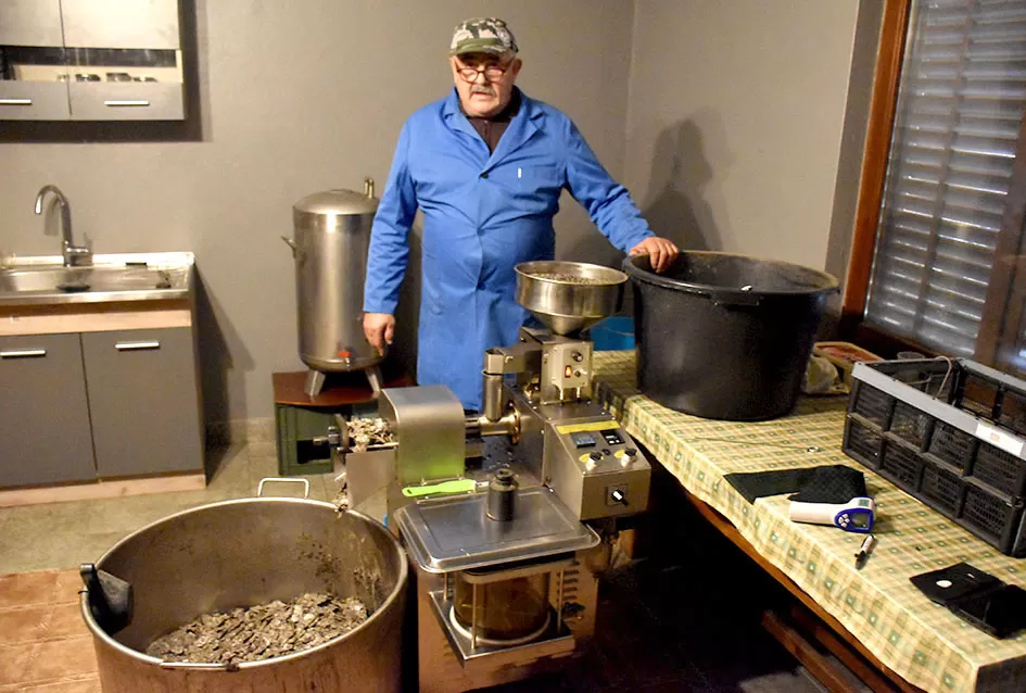 SB Online | Od duhana do ʼslavonskog maslinovog uljaʼ - priča o upornosti!