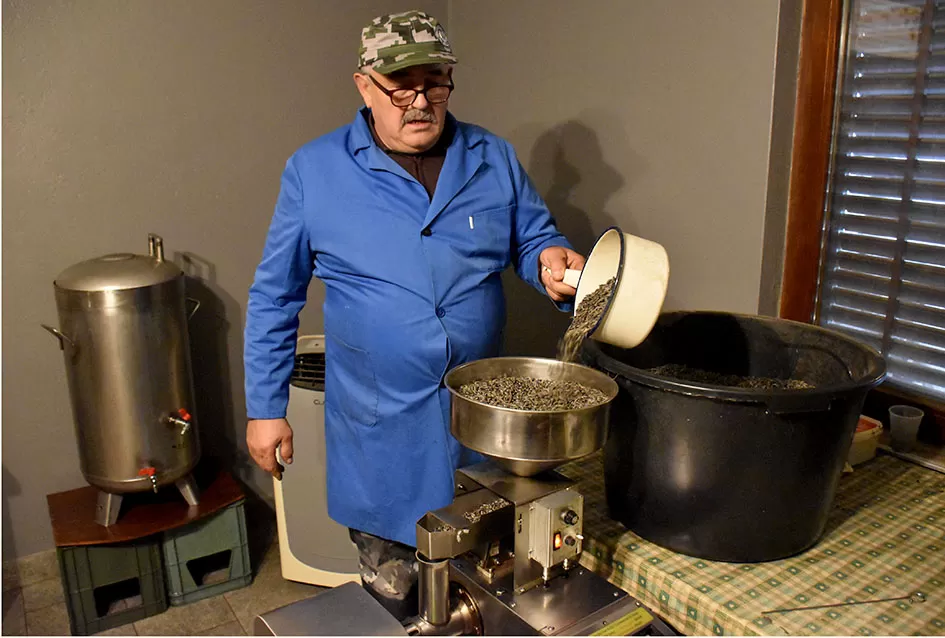 Od duhana do ʼslavonskog maslinovog uljaʼ - priča o upornosti!