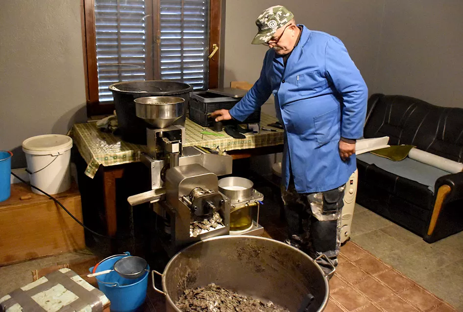 Od duhana do ʼslavonskog maslinovog uljaʼ - priča o upornosti!