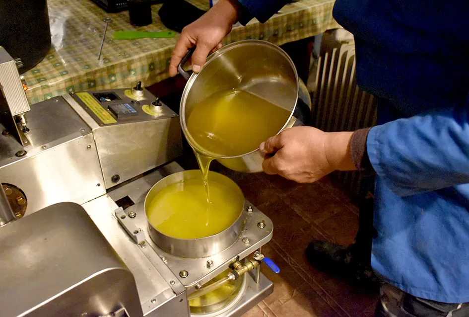 Od duhana do ʼslavonskog maslinovog uljaʼ - priča o upornosti!