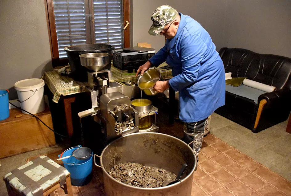 Od duhana do ʼslavonskog maslinovog uljaʼ - priča o upornosti!