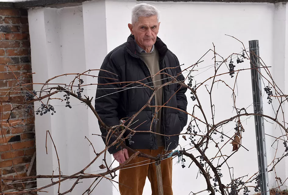 Psunjska praloza: Tajna srednjevjekovnog benediktinskog vina s Rudine