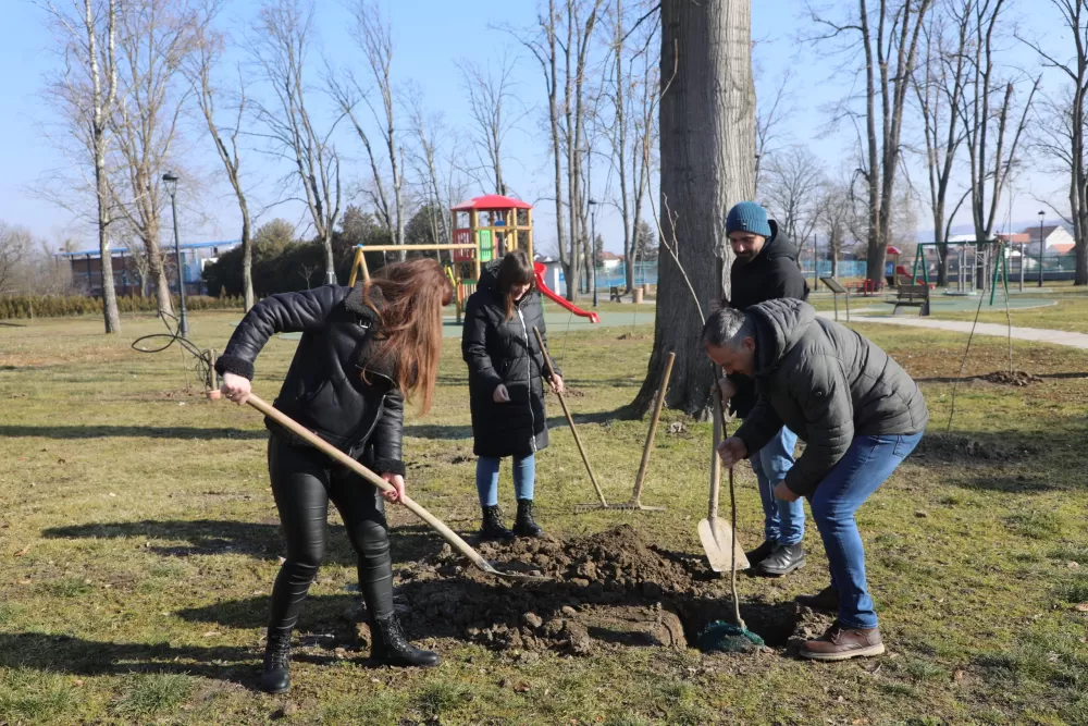Zeleni rast Pleternice: Nova stabla, edukacije vrtićaraca i projekti održivosti