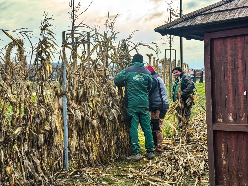 Advent u bećarskom šoru ponovno donosi blagdansku čaroliju u Pleternicu