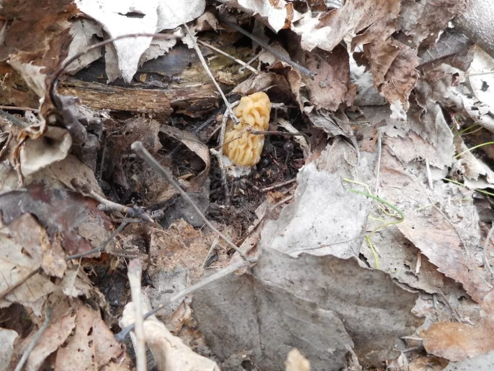 SB Online | Prirodna bogatstva nisu neograničena! Iz Nature Slavonica pozivaju na obzir, savjesnost i oprez u prirodi