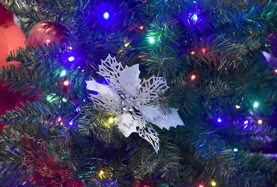 „Dioniz“ u Plodinama pretvoren u oazu blagdanskog sjaja i topline: Čarolija Božića osjeti se na svakom koraku 