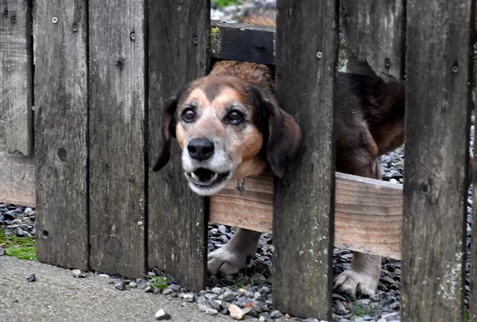 Sveti Nikola po prvi puta razveselio djecu u Štitnjaku: Krampus ostao bez posla, darovi stigli u svaku dobru čizmicu