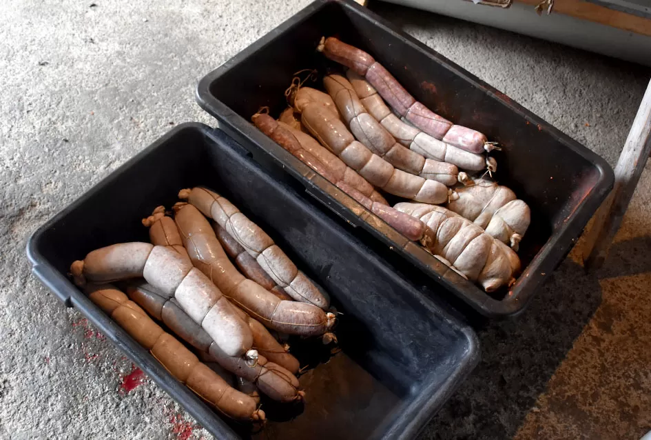 Kako su Marinclini pretvorili kolinje u druženje ʼ3 u 1ʼ