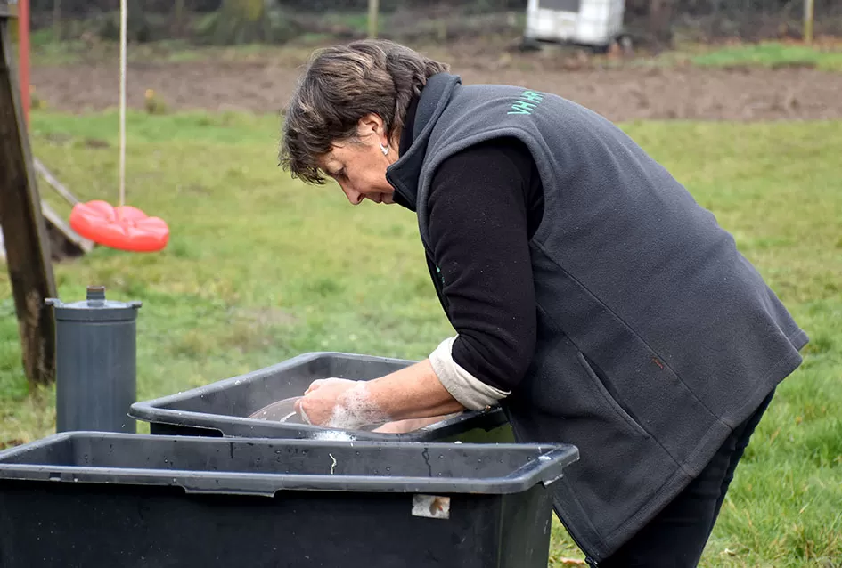 Kako su Marinclini pretvorili kolinje u druženje ʼ3 u 1ʼ