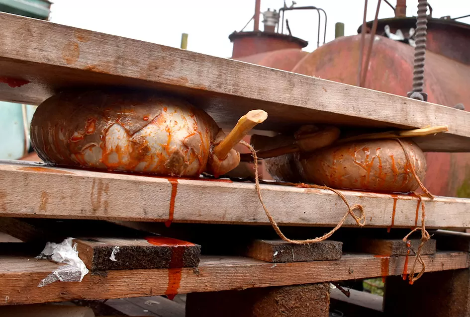 Kako su Marinclini pretvorili kolinje u druženje ʼ3 u 1ʼ