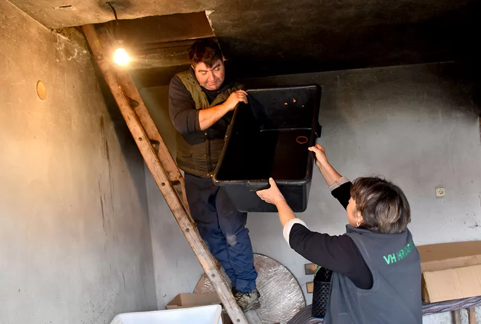 Kako su Marinclini pretvorili kolinje u druženje ʼ3 u 1ʼ