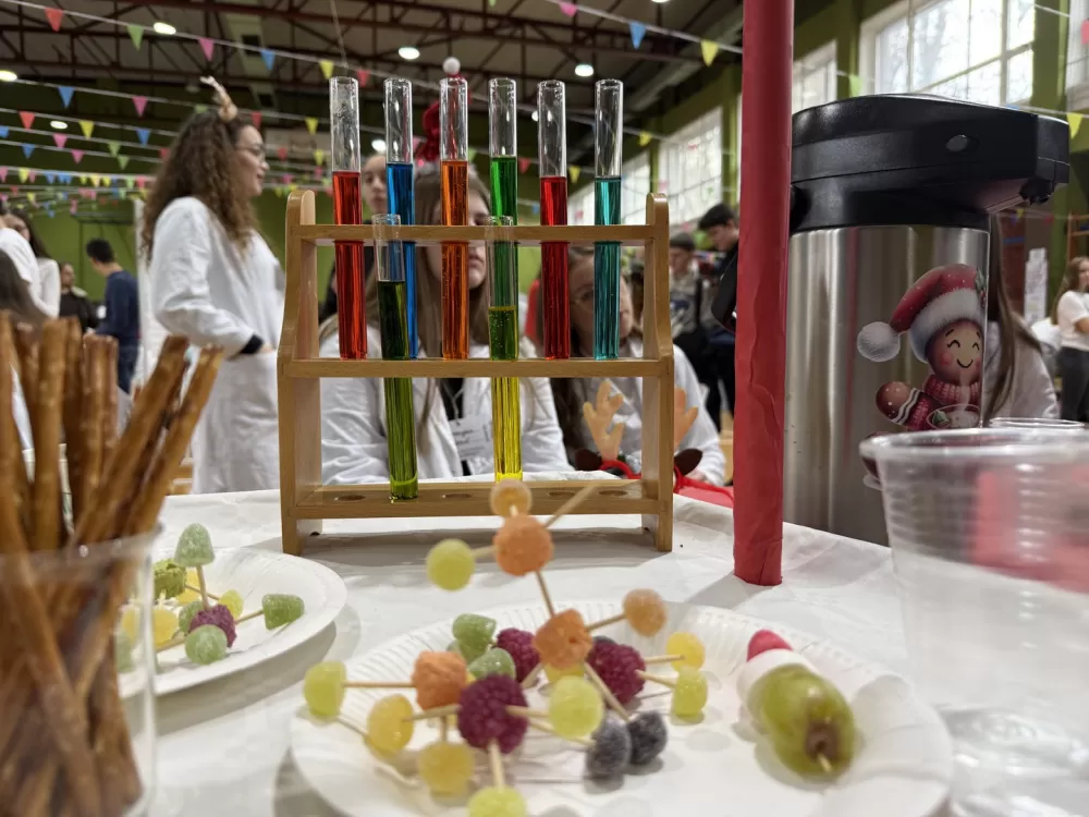 Održan GMM FEST(IVAL) 2025 u Gimnaziji „Matija Mesić“ – Slavonski Brod proslavio dan znanosti, tehnologije i inovacija