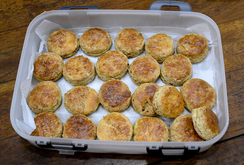 ADVENTSKO KUŠANJE VINA ČLANOVA POŽEŠKE UDRUGE VINARA U ZNAKU OBLJETNICA Požežani su graševinu pili prije 160 godina