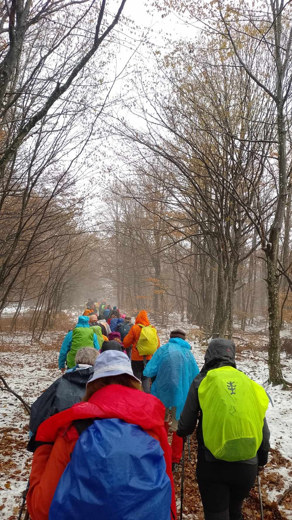 Planinari Sokolovca sudjelovali na Međunarodnom danu planina