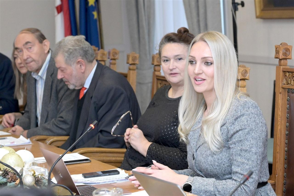 SB Online | Slavonski Brod tema u Saboru, sve je potaknula Opačak-Bilić