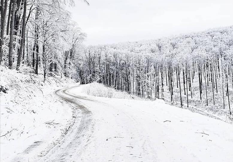 Požega.eu | Planirali ste automobilom na Jankovac: Ne krećite, cesta je zatvorena!