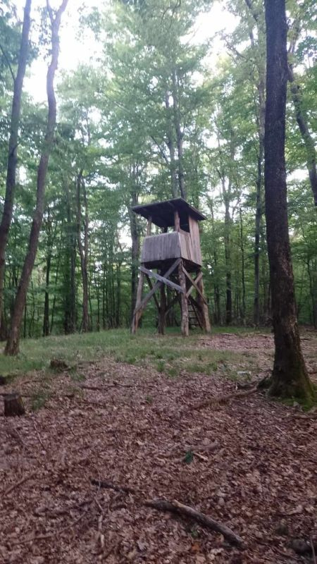 [FOTO] Kutjevački planinari osvojili Triglav: Uzbudljivi uspon na najviši vrh Slovenije
