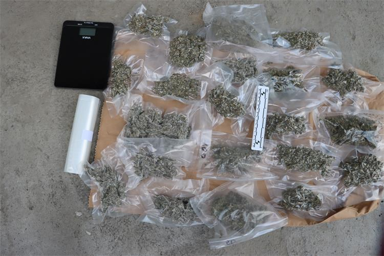Požega.eu | Marihuana sve više prisutna na crnom tržištu: Protiv trojice muškaraca slijedi kaznena prijava