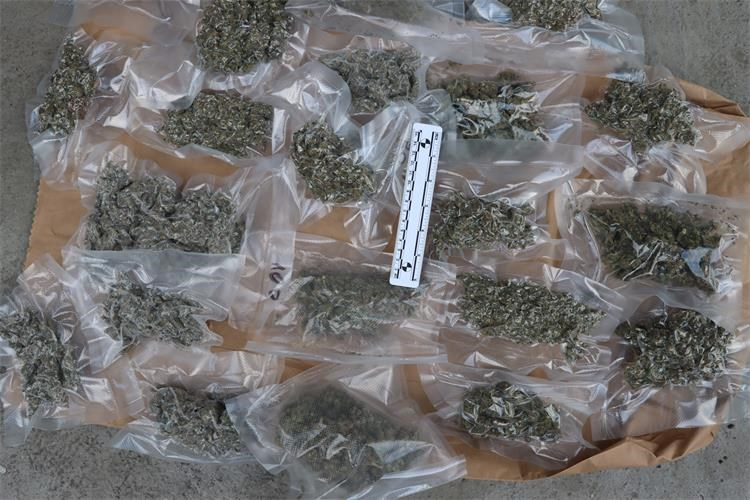 Marihuana sve više prisutna na crnom tržištu: Protiv trojice muškaraca slijedi kaznena prijava
