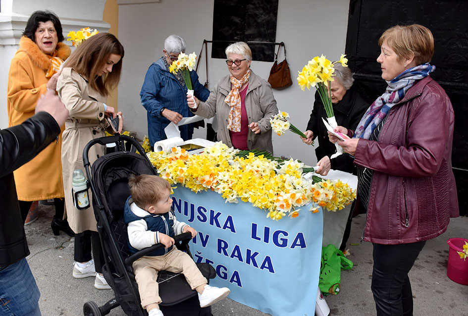 Požega.eu | DAN NARCISA U POŽEGI: Za rano otkrivanje raka dojke