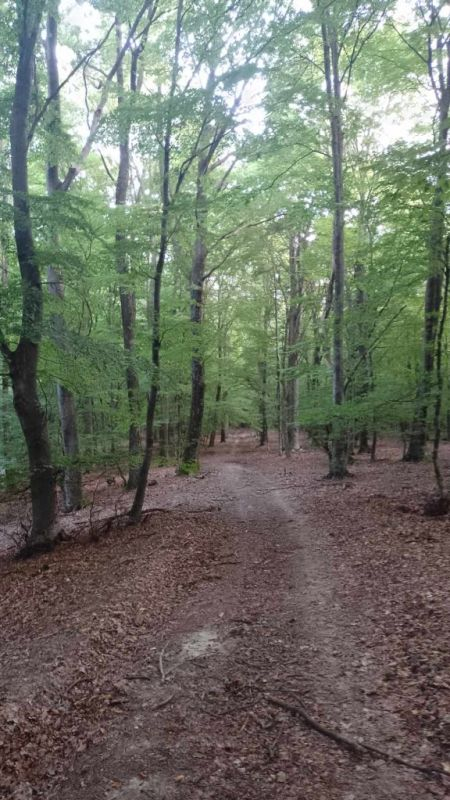 [FOTO] Kutjevački planinari osvojili Triglav: Uzbudljivi uspon na najviši vrh Slovenije