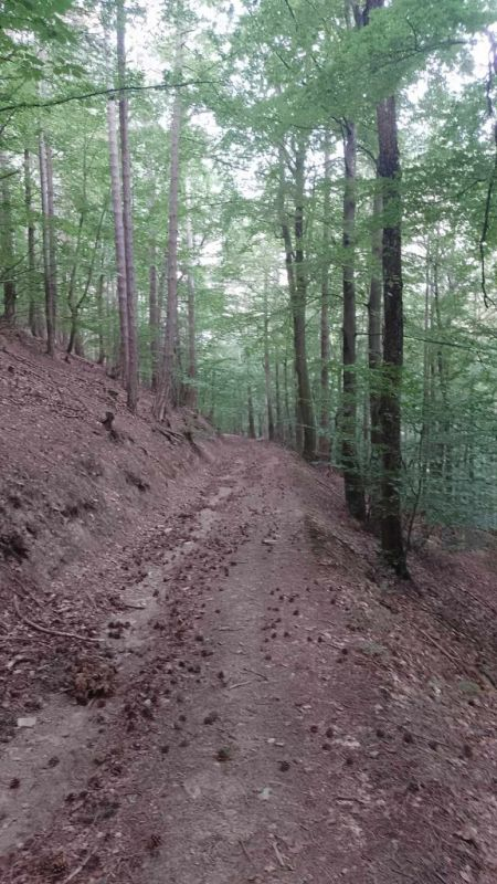 [FOTO] Kutjevački planinari osvojili Triglav: Uzbudljivi uspon na najviši vrh Slovenije