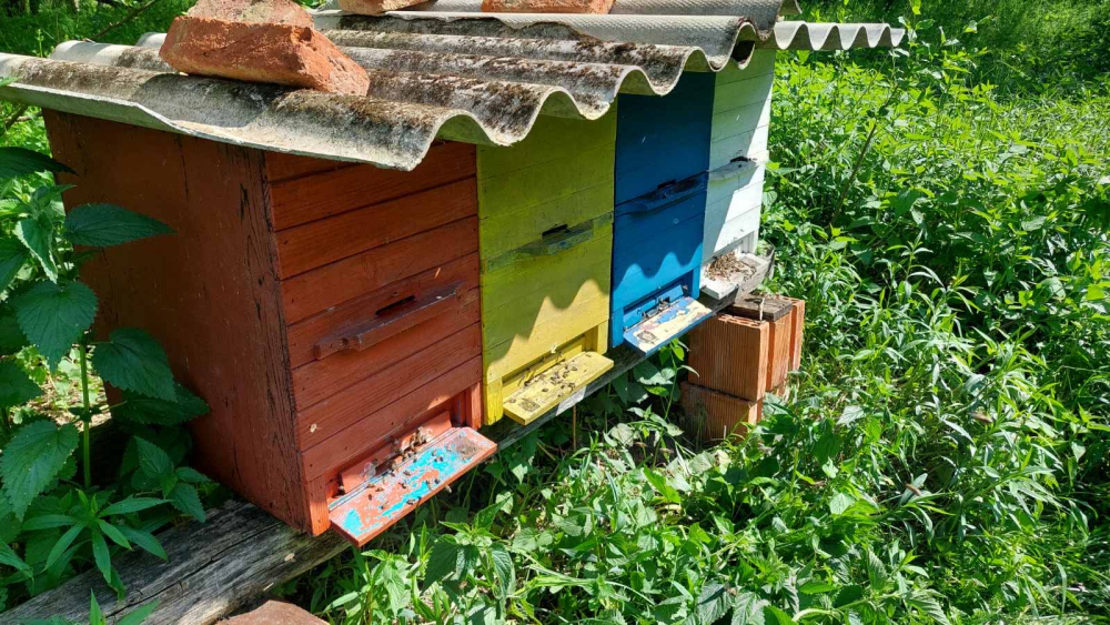 Požega.eu | Ukradene košnice na području Pleternice